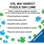 1006202364848f02273dc.jpeg