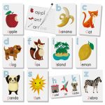 Headu Teacher Tested - Cartonase Sa Scriem Si Sa Citim