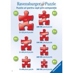 100620236484a2b775b8c.jpeg